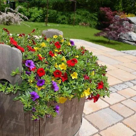 Haus Am Gruendel * Альтенберг