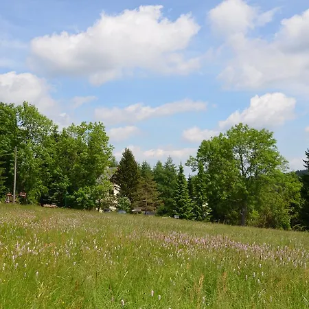 Haus Am Gruendel Апартаменты *