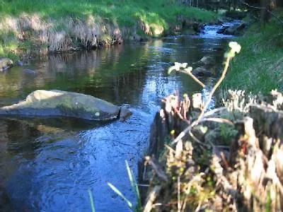 Haus Am Gruendel * Альтенберг